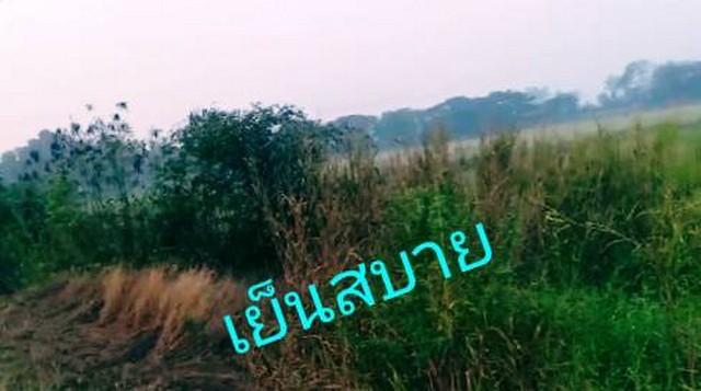 ผืนดินไทยทรงคุณค่า ขายที่ดิน 4ไร่เศษ ติดถนนคอนกรีต ต.มหาราช อ.มหาราช จ.อยุธยา