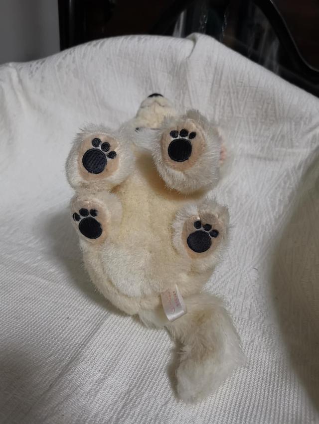 cute dog Chihuahua doll 6