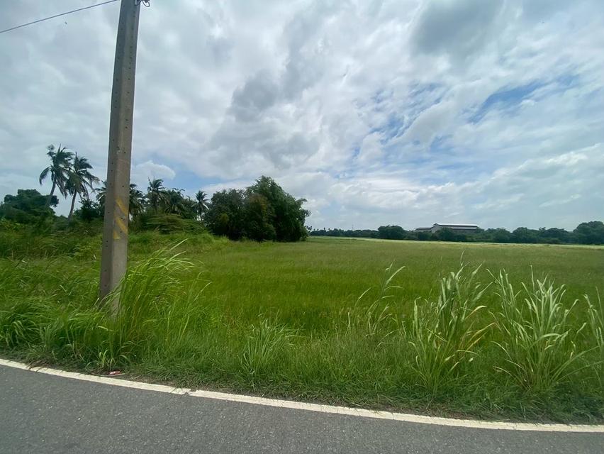 ขายที่ดิน 8 ไร่ อยู่ถนนสายเอเซีย อ. อินทร์บุรี จ. สิงห์บุรี 5