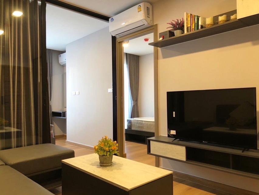 ให้เช่า The Cube Loft ศรีนครินทร์ รูปย่อยที่ 2