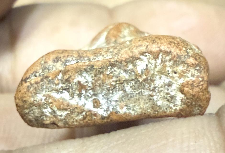 พระนางพญาพิษณุโลกพิมพ์องค์นูนใหญ่ 7