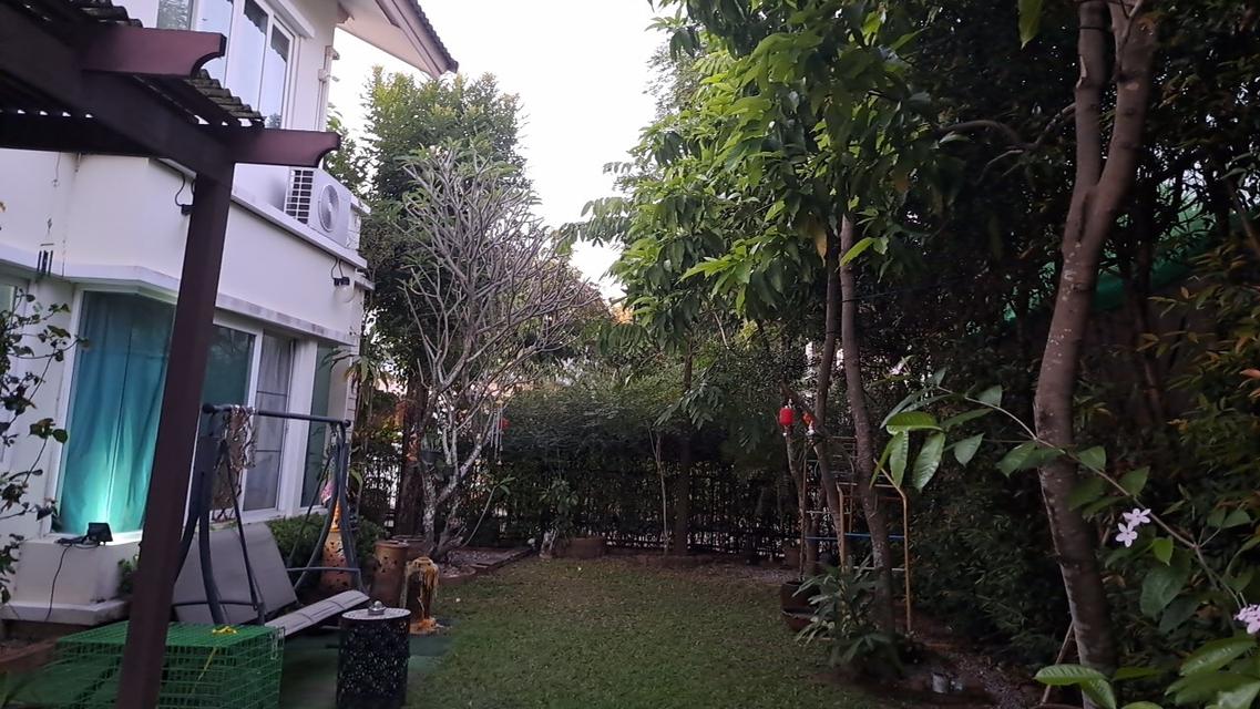 บ้านเดี่ยว 2ชั้น 81ตรว 3