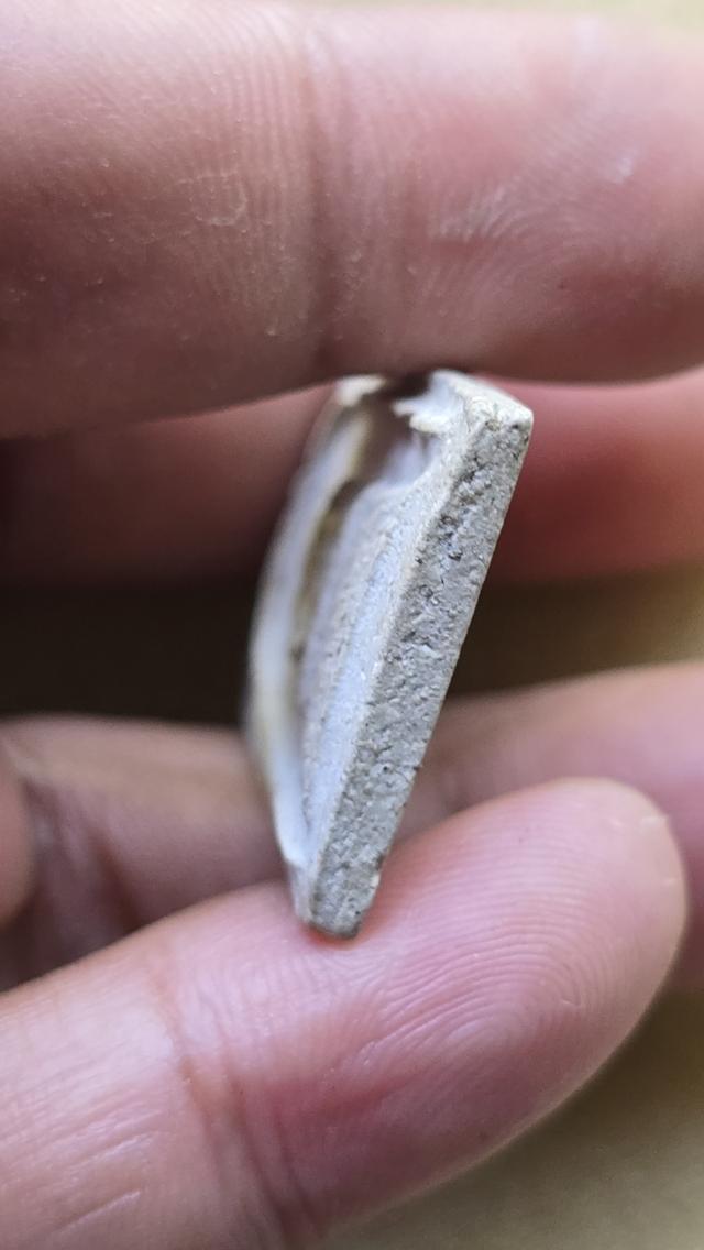 พระสมเด็จวัดเฉลิมพระเกียรติ 6