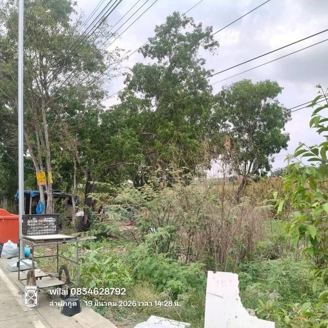 Vายที่ดิน 50 ตารางวา ใกล้โลตัส รังสิต คลอง7 ติดถนนคอนกรีต รังสิต-นครนายก ค.8 ชุมชนสุสวาส 2 ธัญบุรี ปทุมธานี 3