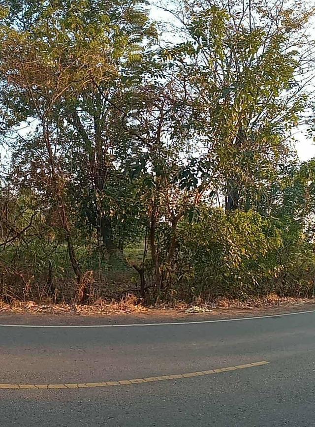 📍ขายที่ดินเปล่า ในพื้นที่ของ อ.พระยืน จ.ขอนแก่น