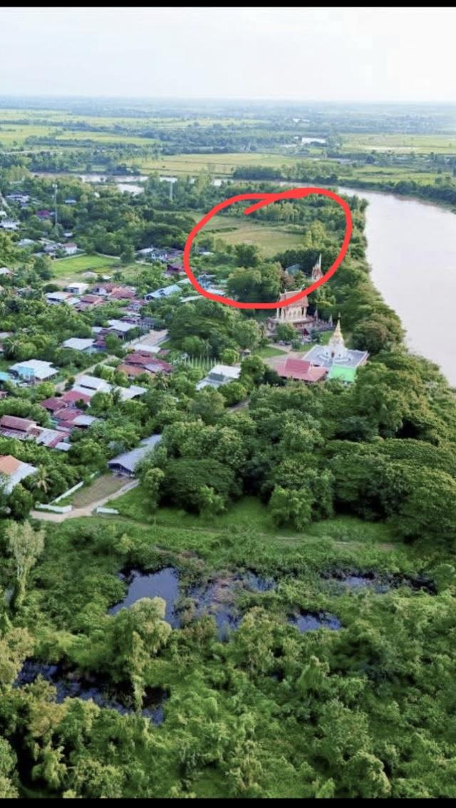 ที่ดิน 7 ไร่ 52 ตารางวา เสลภูมิ ร้อยเอ็ด 2