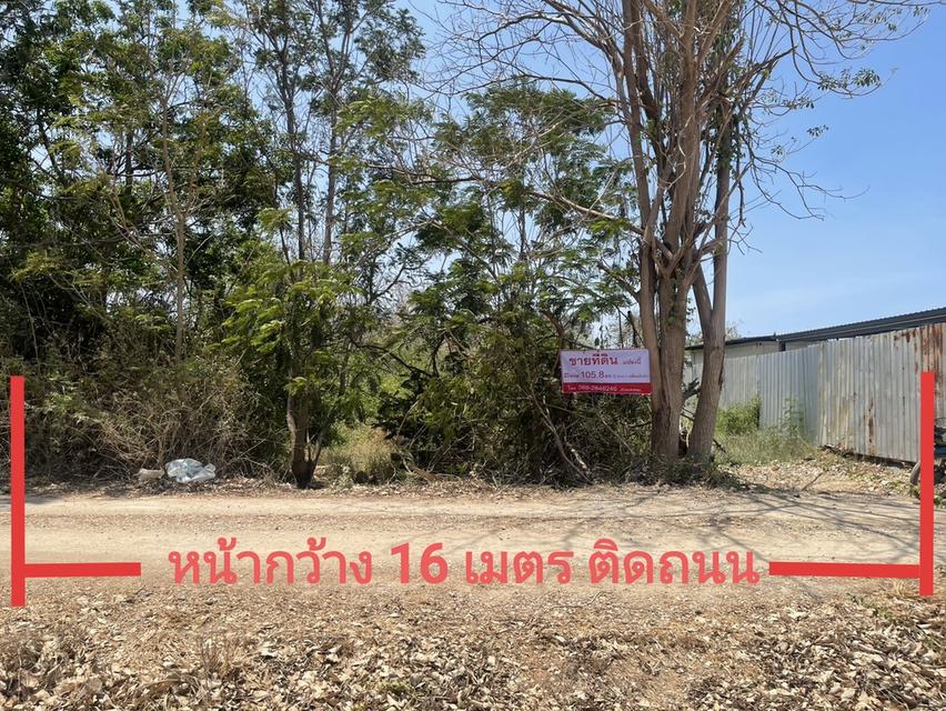 ที่ดินใกล้ชายหาดปึกเตียนเพชรบุรี 1
