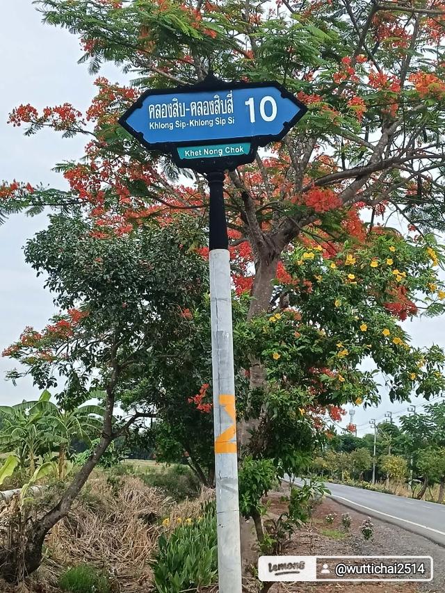 ขายที่ดิน200ตารางวาถนนคู้คลองสิบ10ที่ดินเข้าซอย400เมตรไฟฟ้าประปาพร้อมทำเลดีหน้ากว้างที่ดิน25เมตรลึก32มถนนซอยก้าง8เมตรสนใจติดต่อ0953678322 8