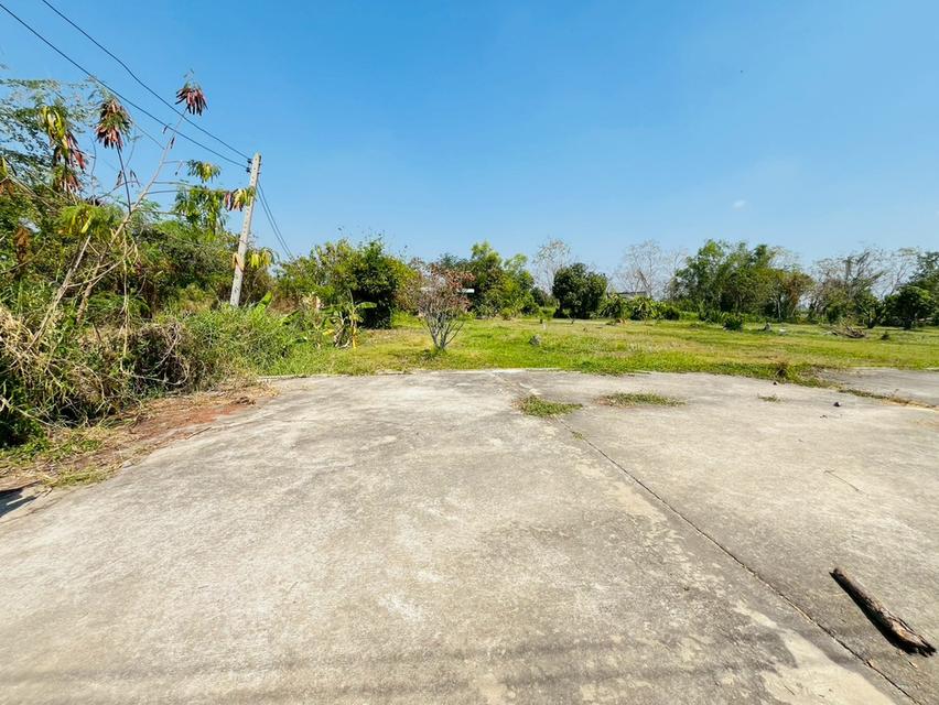 ที่ดิน พร้อมบ้านเดี่ยว 2 ชั้น ถนนรังสิต-นครนายก ตำบลบึงน้ำรักษ์ อำเภอธัญบุรี จังหวัดปทุมธานี 12