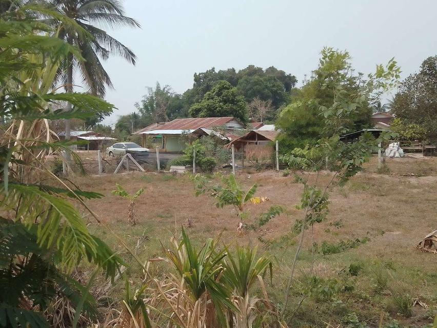 บ้านพร้อมที่ดิน มีโฉนด รูปที่ 3