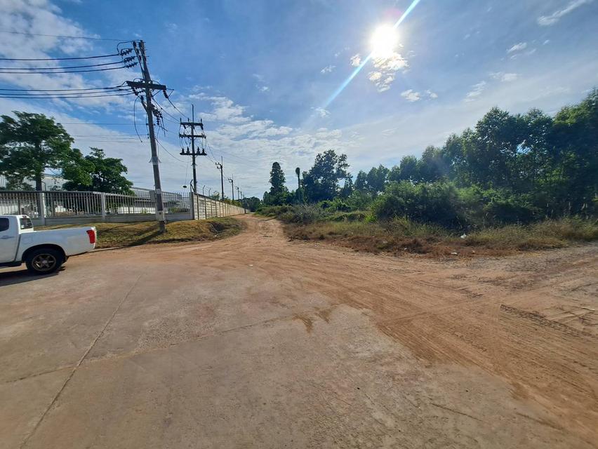 ขายที่ดินติดนิคม 304 ปราจีนบุรี