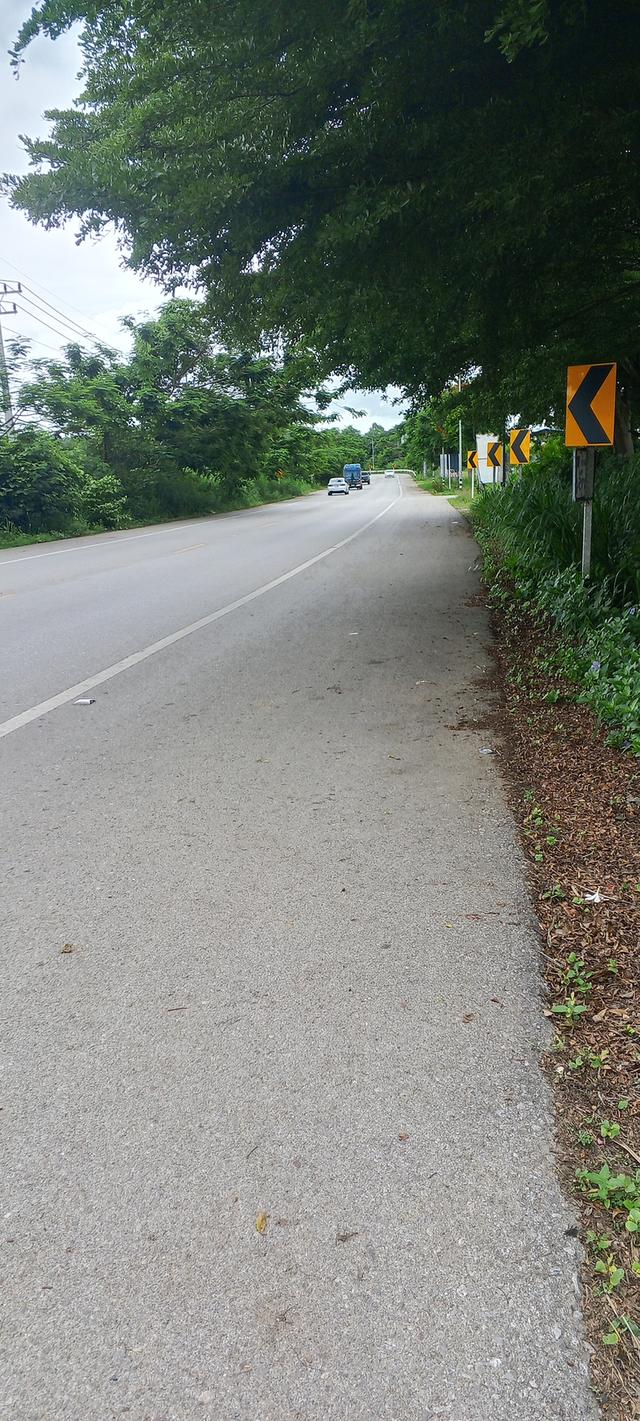 บ้านและที่ดินอสังหาริมทรัพย์ติดทางเข้าสะดวกสบายมีน้ำมีไฟ 5