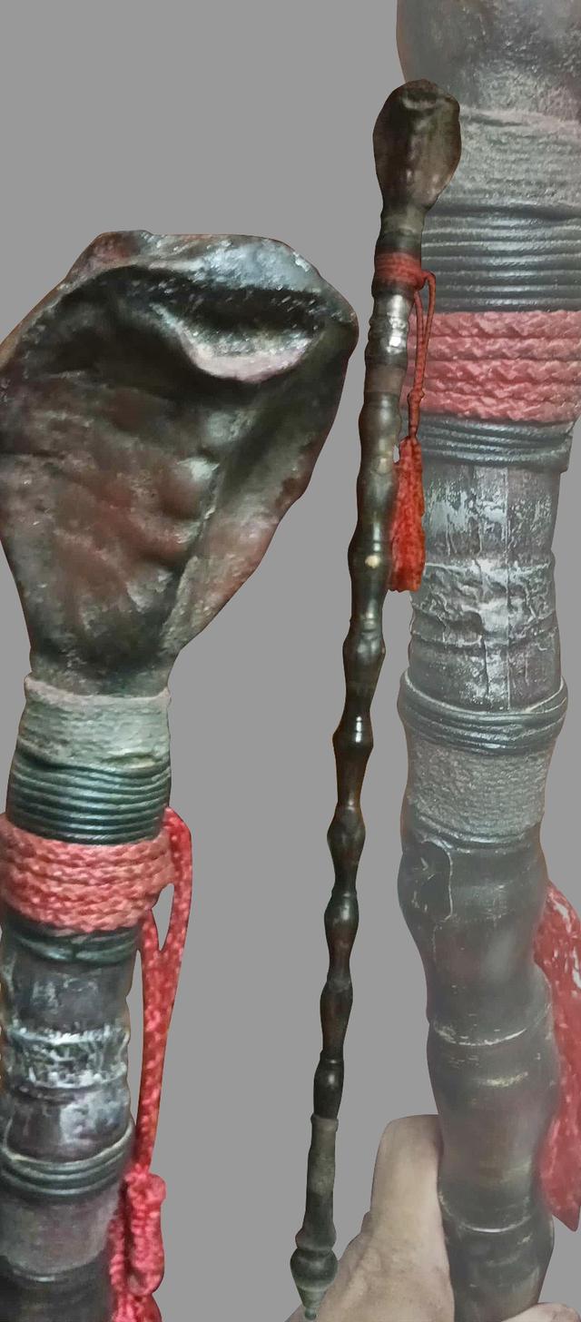 ไม้เท้างู ไม้เท้างูจงอาง ไม้เท้าแกะสลัก เศียรพญานาค ไม้เท้าไม้ไผ่ 3