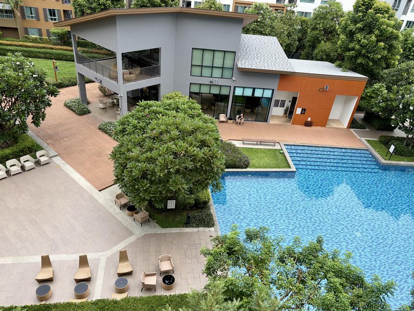 ปล่อยเช่าคอนโด D Condo Nim (ดีคอนโด นิม) เชียงใหม่ 2