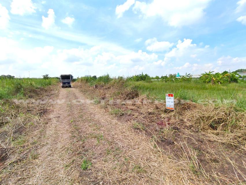 ที่ดินจัดสรรล็อคที่ 18 ถ.346 ต.หน้าไม้ อ.ลาดหลุมแก้ว จ.ปทุมธานี 2