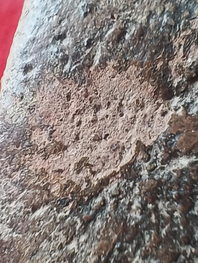 พระขุนแผนเนื้อดินเนื้อชิน (ไม่ทราบที่)จริงแท้พิจารณาตามรูปครับ 5