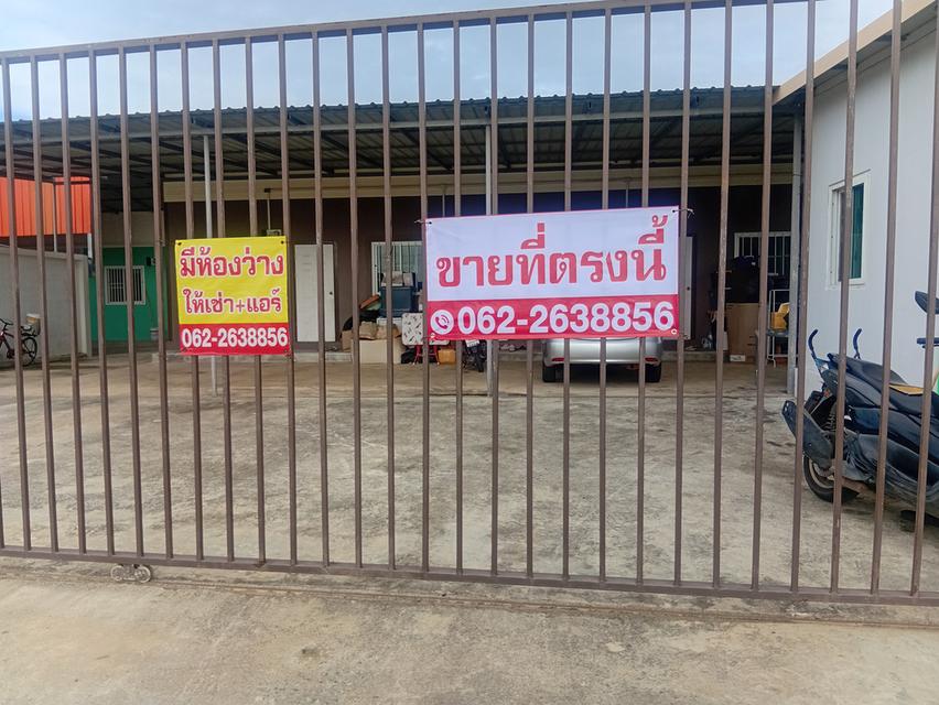 ที่ดิน 6