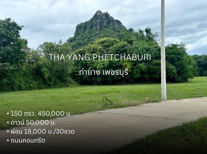 ที่ดิน ท่ายาง จ.เพชรบุรี 8