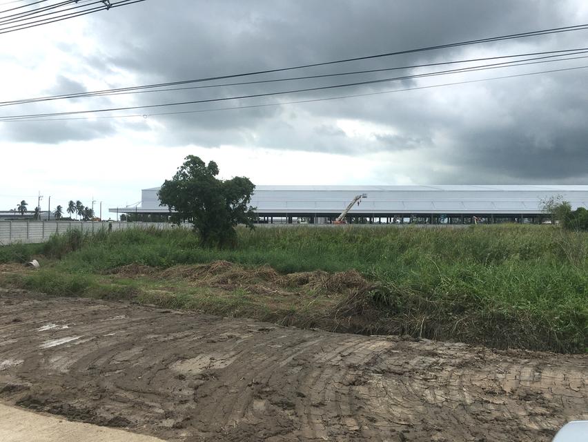 ขายที่ดินหน้าโกดัง Flash Express นครสวรรค์ ตำบลบ้านมะเกลือ อำเภอเมืองนครสวรรค์ เนื้อที่ 5-2-17ไร่ หน้ากว้าง 80เมตร 5