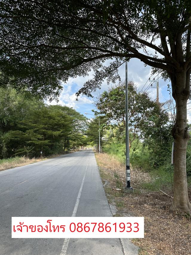 🌳🔥 ขายที่ดินแปลงใหญ่ 31 ไร่ ใกล้สุขุมวิท เพียง 1.3 กม. ต. ตะพง อ.เมืองระยอง 🔥🌳  หน้ากว้าง 280 เมตร ติดถนนใหญ่ เหมาะทำหมู่บ้านจัดสรร 10