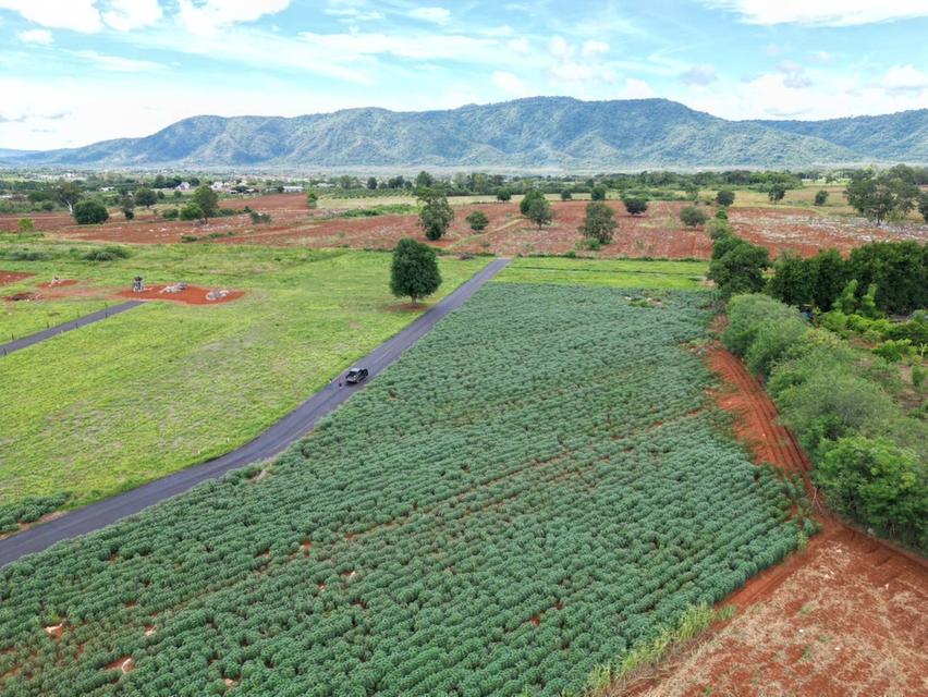 ขายที่ดินปากช่อง คลองม่วง 64 ไร่ ติดลำห้วยใกล้ถนนเส้น2235-1.9กม. จ.นครราชสีมา 1