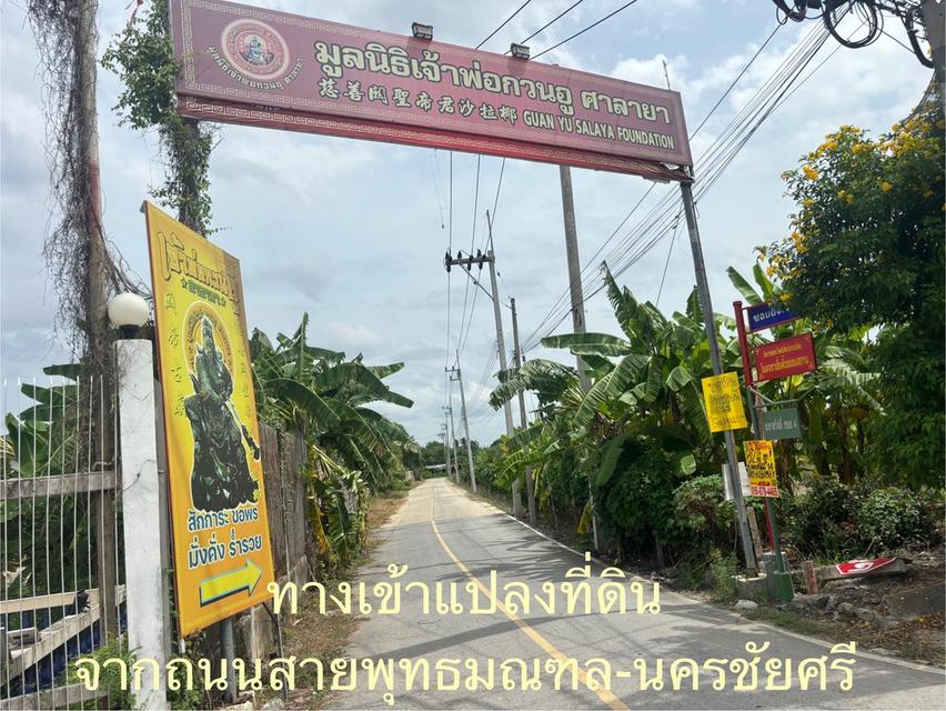 ขายที่ดิน 1ไร่ ซอยยิ่งเจริญ ศาลกวนอูศาลายา ซอยมหาสวัสดิ์ 4 ต.มหาสวัสดิ์ อ.พุทธมณฑล จ.นครปฐม 5