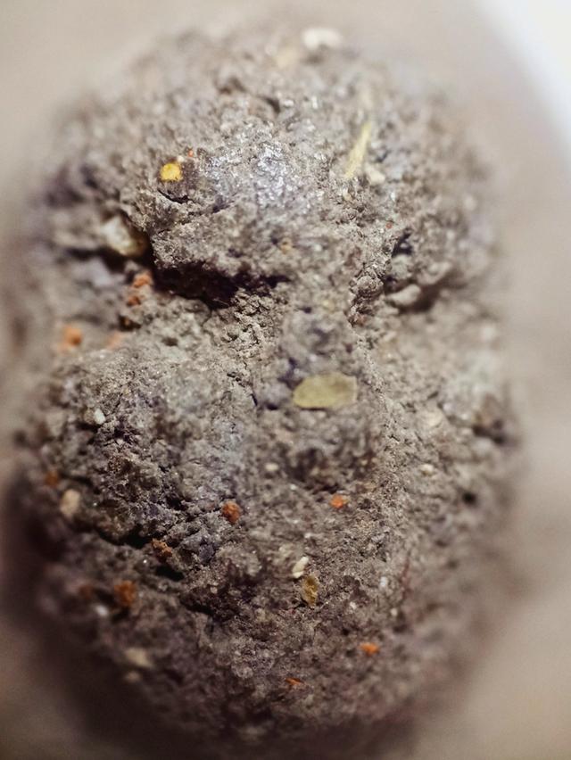 หลวงปู่ทวดเนื้อว่าน 2497