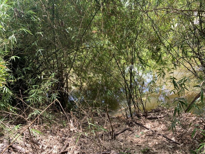 ขายที่ดิน ติดโตโยต้าบ้านโพธิ์ 5