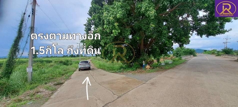 ขายที่ดินใกล้วิทยาลัยเทคโนโลยีสารสนเทศเพชรบูรณ์ แปลงสวย 57-1-85 ไร่ ต.ซับสมอทอด อ.บึงสามพัน จ.เพชรบูรณ์ 6
