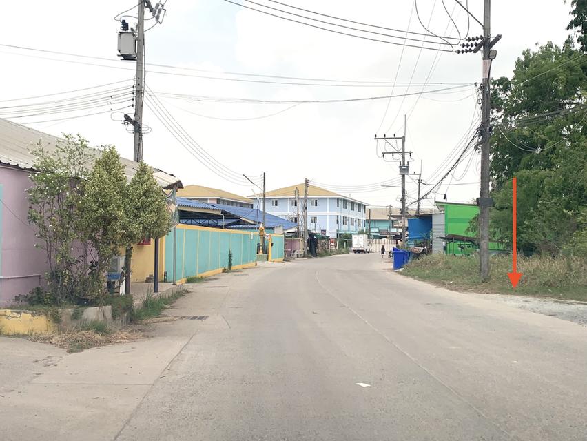 ขายที่ดินทำเลดี เนื้อที่ 5-0-21ไร่ หนองตำลึง พานทอง ชลบุรี ที่ดินหน้ากว้าง 60เมตร ลึก 120เมตร ที่ดินไม่ต้องถมเหมาะสร้างหอพัก 2