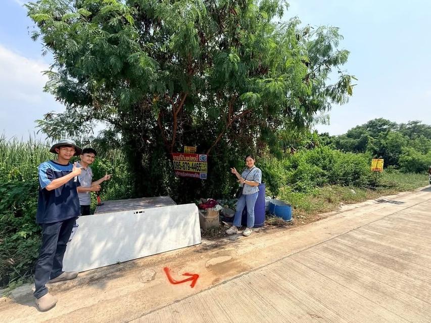 Vายถูก  ที่ดินคลองหนึ่ง 100 ตารางวา ติดถนนคอนกรีตสาธารณะซอย เทพกุญชร 45 อ.คลองหลวง จ.ปทุมธานี 1