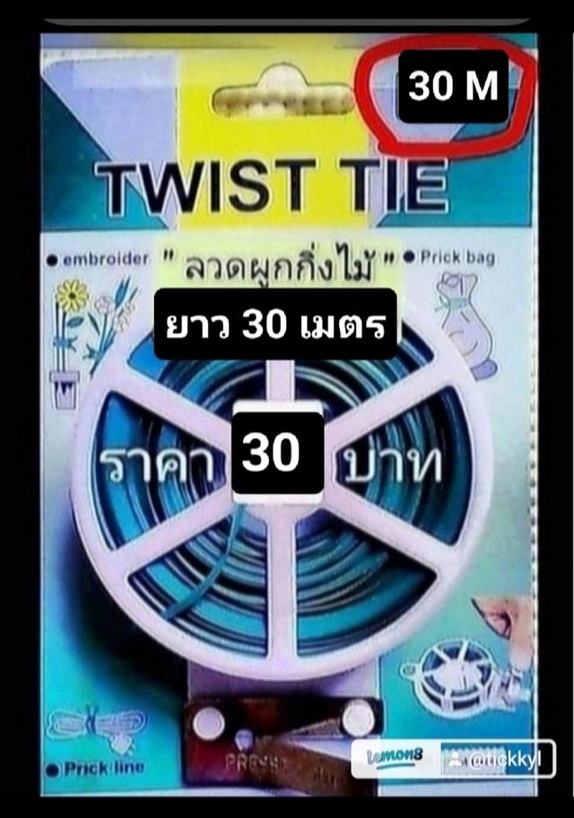 ป้ายติดชื่อต้นไม้สีสัน 6