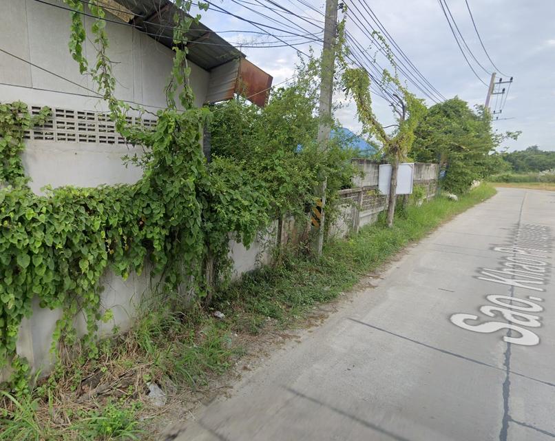 ที่ดินผังสีชมพู หนองข้างของ ชลบุรี 9