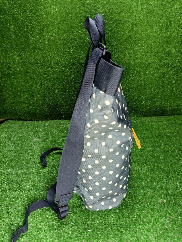 Coleman Dot Series Backpack รูปที่ 4