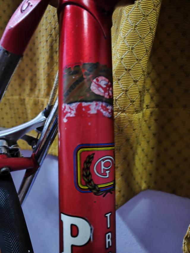 จักรยานเสือหมอบวินเทจ Pinarello Asolo รูปที่ 15