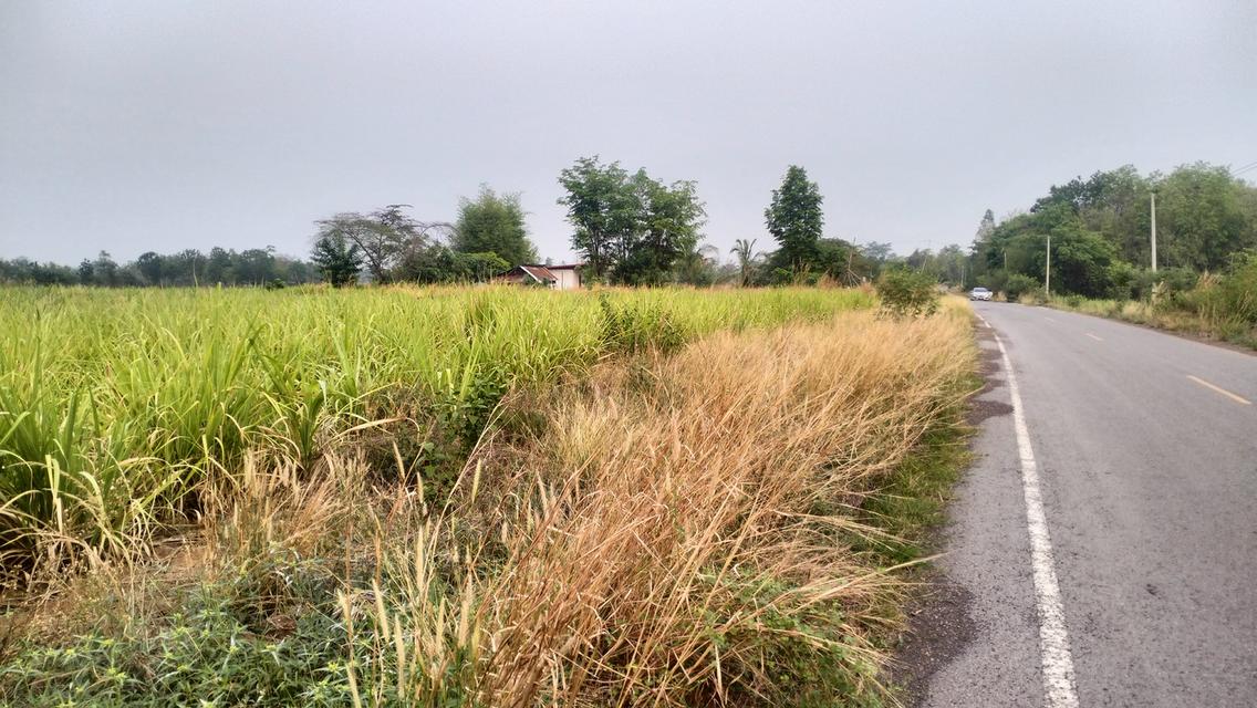 ที่ดินไร่สวนและสิ่งปลูกสร้าง 2