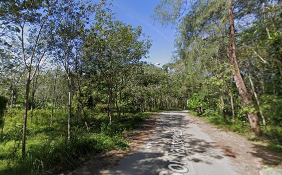 ขายที่ดิน 2 ไร่ ใกล้สนามบินภูเก็ต พื้นที่สีม่วง สำหรับทำรีสอร์ท โรงงาน ตำบลไม้ขาว อำเภอถลาง จังหวัดภูเก็ต. 4