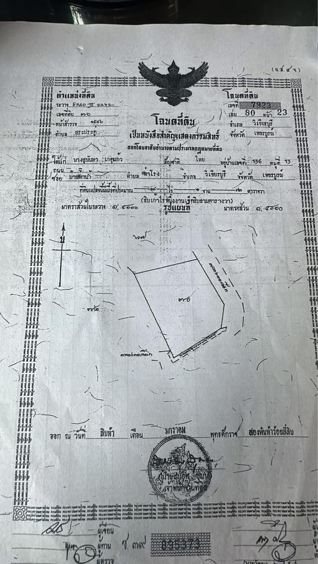 ขายที่ดิน ติดแม่น้ำป่าสัก อำเภอวิเชียรบุรี จังหวัดเพชรบูรณ์