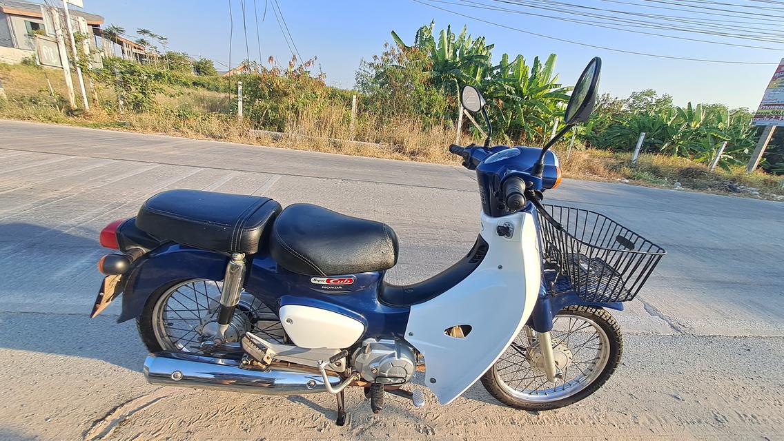 Honda Super cub สภาพดี 4