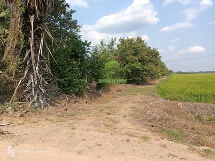 ขายที่ดิน คลอง8 บึงบอน หนองเสือ ปทุมธานี เนื้อที่ 70 ตร.ว ราคาไม่แพง 1