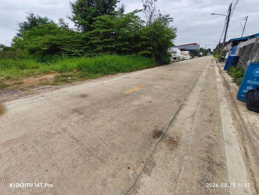 ขายด่วนที่ดิน 215 ตรว ติดถนนสาธารณะ 2 ด้าน ซ.ไอยรา 26,27 คลองหลวง ปทุมธานี 8
