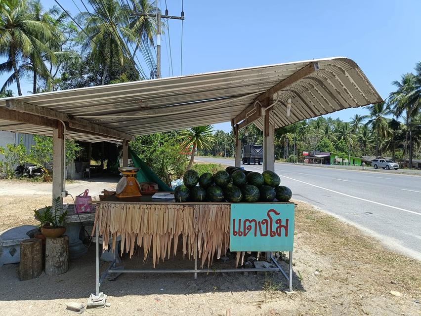 ขายที่ดินแปลงสวยติดริมถนน 7
