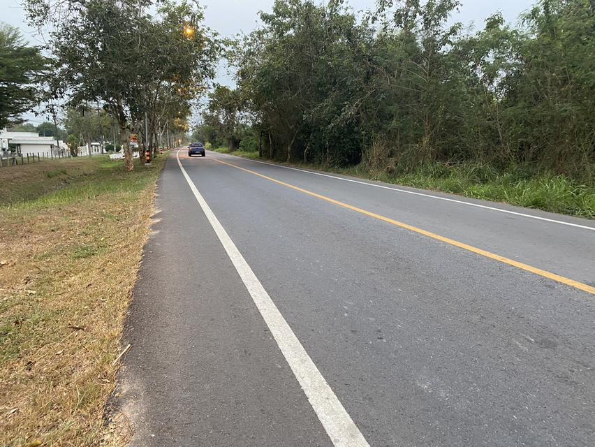 ขายที่ดิน เนื้อที่ 29 ไร่ เกาะจันทร์ จังหวัดชลบุรี 7