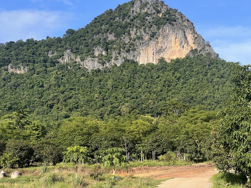 ที่ดิน ที่ดินโฉนด 5 ไร่ 48 ห่างชุมชนบ้านผาแบ่น 1 กิโล ห่างเชียงคาน 7 กิโล พิกัดบ้านผาแบ่น ตำบลบุฮม อำเภอเชียงคาน จังหวัดเลย ราคา 1100000 บาท 1