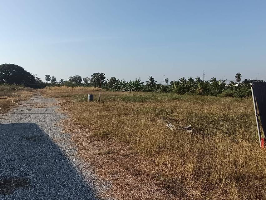 ที่ดินสุพรรณบุรีขาย ต่ำกว่าประเมิน 5