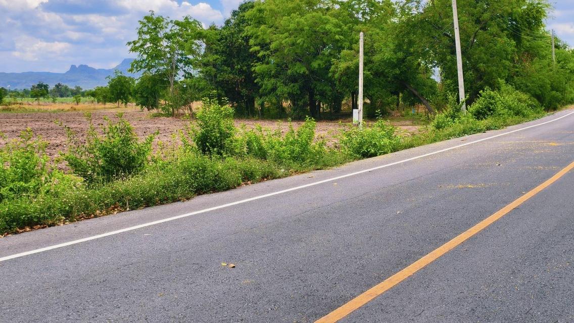ที่ดิน ดงมะรุม โคกสำโรง ลพบุรี ติดถนนลาดยาง  17