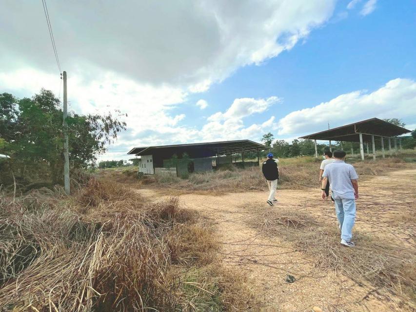 ขายที่ดินแปลงสวย ถมแล้ว ติดถนนพหลโยธิน จ.พะเยา (หน้ากว้าง 230 ม.) เหมาะทำโกดัง/ศูนย์กระจายสินค้า/ปั๊มน้ำมัน 6