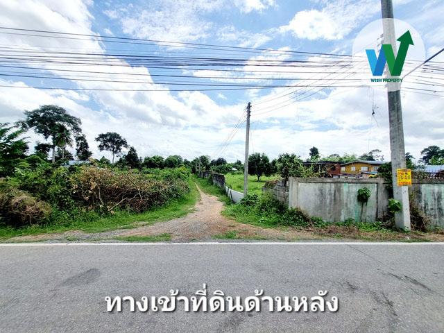ขายที่ดินแปลงใหญ่ ศิลาดาน มโนรมย์ ชัยนาท 8ไร่ 2 งาน 49 ตร.ว. มีน้ำไฟพร้อม ใกล้ถนนพหลโยธิน 6