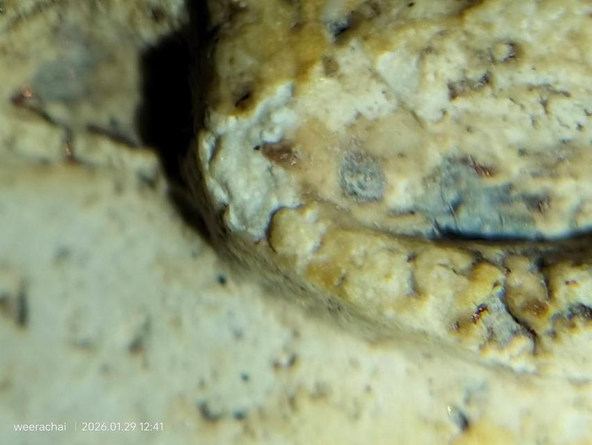 พระสมเด็จวัดระฆังพิมพ์เกศบัวตูม รูปที่ 7