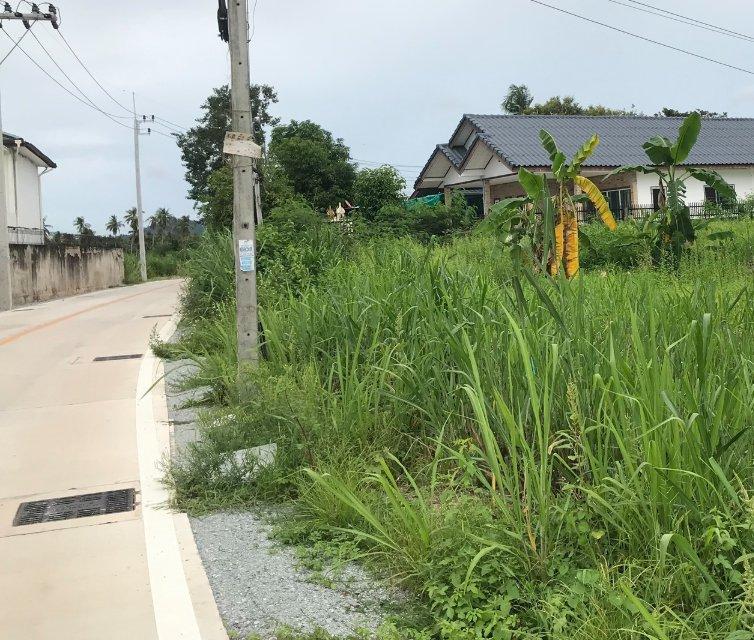ขายที่ดินนาจอมเทียน พัทยา 212 ตรว. ซอยทุ่งเจ๊กเลี่ยว ใกล้หาดบ้านอำเภอ5กม. อ.สัตหีบ จ.ชลบุรี 3